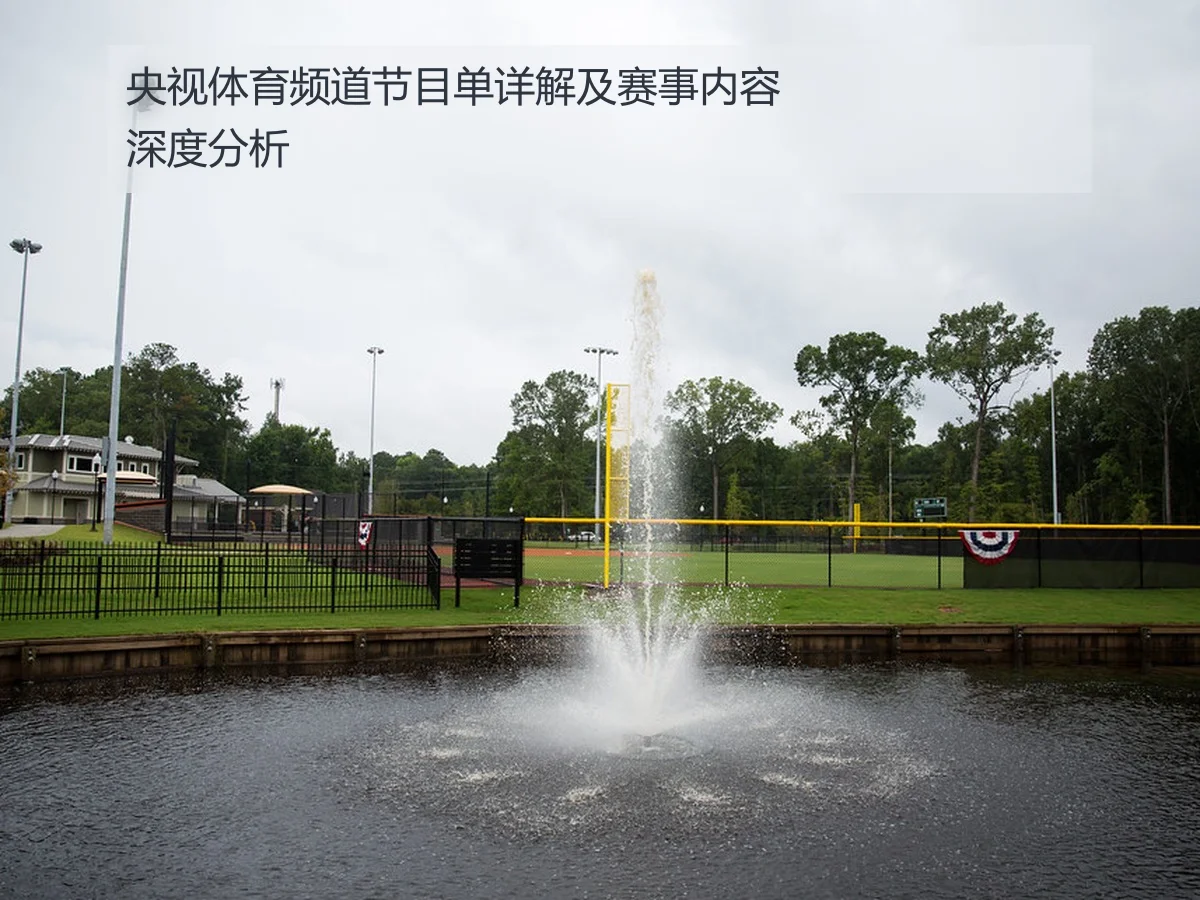 央视体育频道节目单详解及赛事内容深度分析