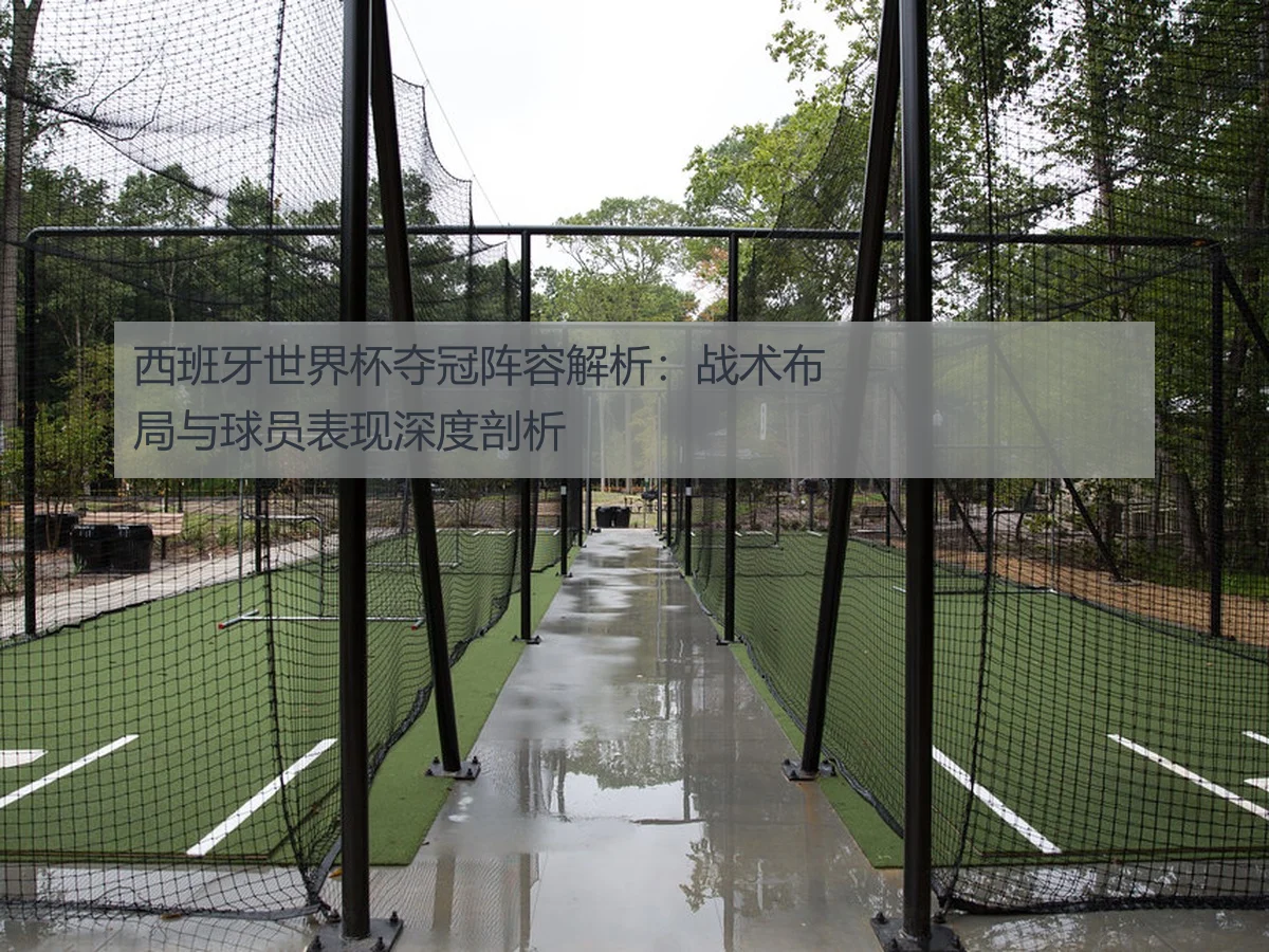 西班牙世界杯夺冠阵容解析:战术布局与球员表现深度剖析